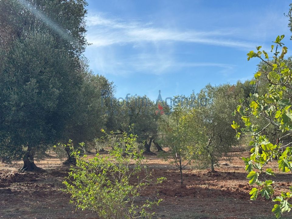 Helårsgrund i Carovigno, Brindisi - foto 3